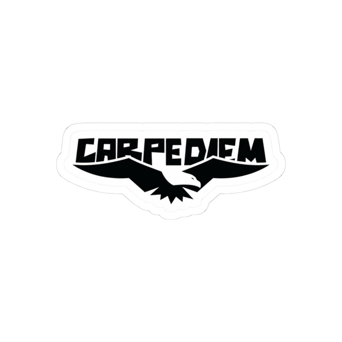 Carpe Diem (Seize the Day) | R.E.P.O - Official Creator merchandise